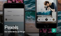 Pexels media 1