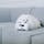 Varram Pet Robot